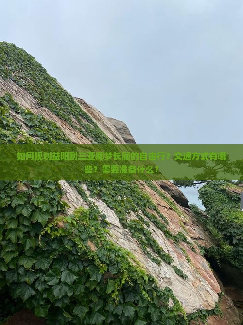 如何规划益阳到三亚椰梦长廊的自由行？交通方式有哪些？需要准备什么？