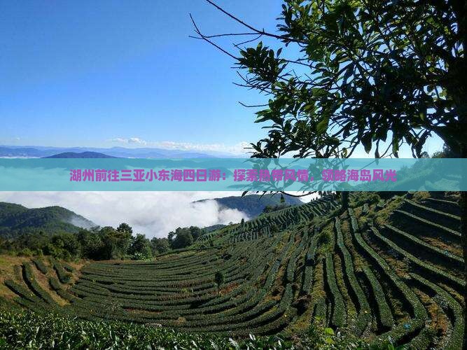 湖州前往三亚小东海四日游：探索热带风情，领略海岛风光