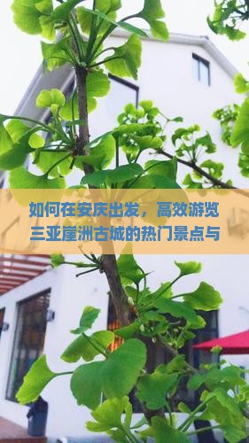 如何在安庆出发，高效游览三亚崖洲古城的热门景点与必体验活动？