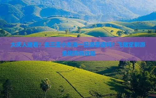 大庆人速看！去三亚小东海一日游靠谱吗？飞猪定制游+免税购物攻略