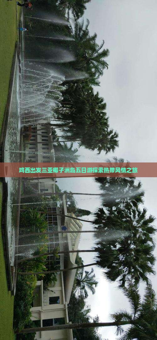 鸡西出发三亚椰子洲岛五日游探索热带风情之旅