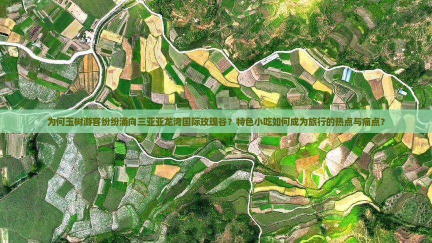 为何玉树游客纷纷涌向三亚亚龙湾国际玫瑰谷？特色小吃如何成为旅行的热点与痛点？