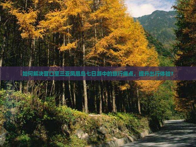 如何解决营口至三亚凤凰岛七日游中的旅行痛点，提升出行体验？