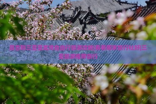 昌吉到三亚亚龙湾自由行旅游攻略|看看哪家旅行社好|三亚旅游推荐旅行