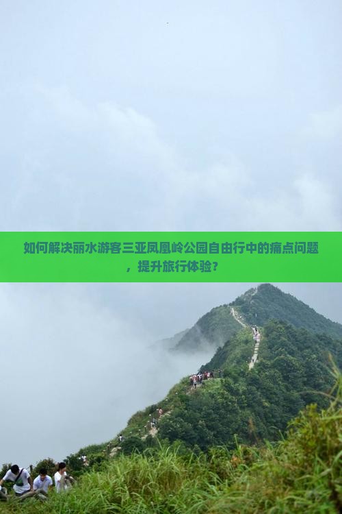 如何解决丽水游客三亚凤凰岭公园自由行中的痛点问题，提升旅行体验？