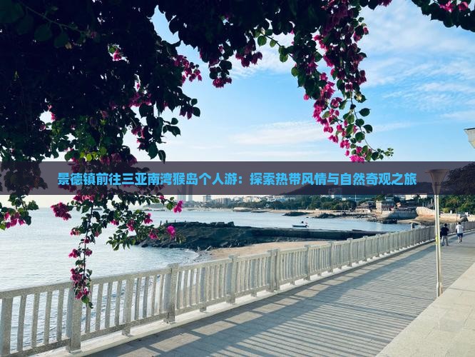 景德镇前往三亚南湾猴岛个人游:探索热带风情与自然奇观之旅 景德镇前往三亚南湾猴岛个人游:探索热带风情与自然奇观之旅