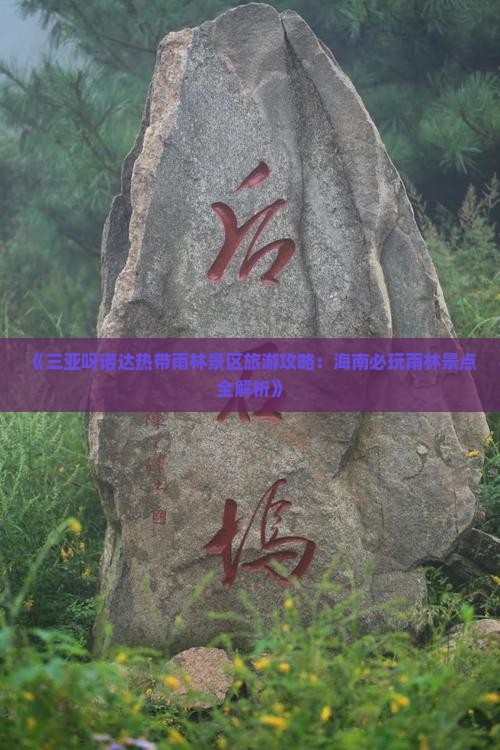《三亚呀诺达热带雨林景区旅游攻略：海南必玩雨林景点全解析》