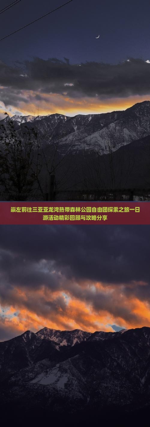 崇左前往三亚亚龙湾热带森林公园自由团探索之旅一日游活动精彩回顾与攻略分享
