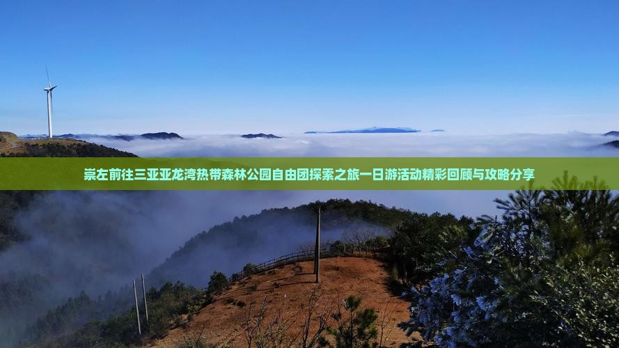 崇左前往三亚亚龙湾热带森林公园自由团探索之旅一日游活动精彩回顾与攻略分享