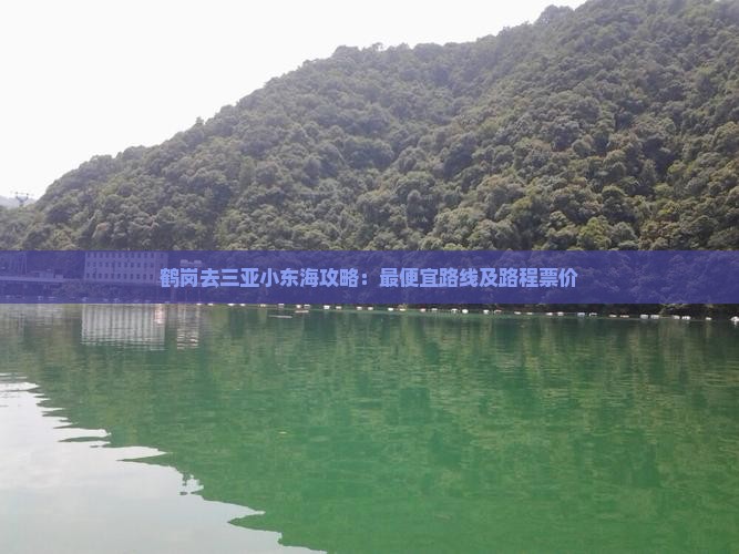 鹤岗去三亚小东海攻略：最便宜路线及路程票价