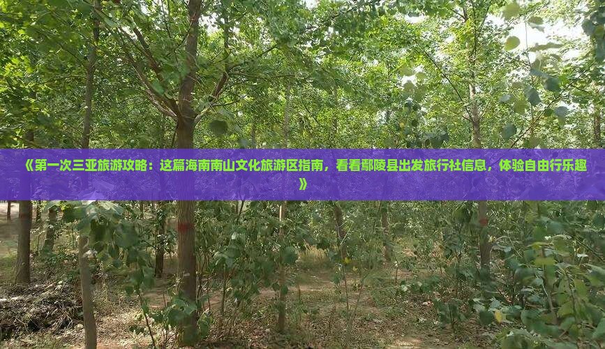 《第一次三亚旅游攻略：这篇海南南山文化旅游区指南，看看鄢陵县出发旅行社信息，体验自由行乐趣》