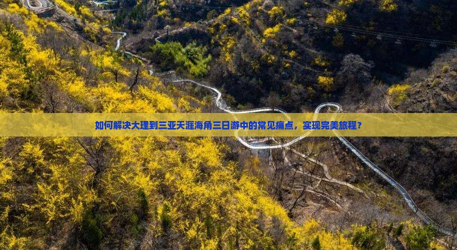 如何解决大理到三亚天涯海角三日游中的常见痛点，实现完美旅程？