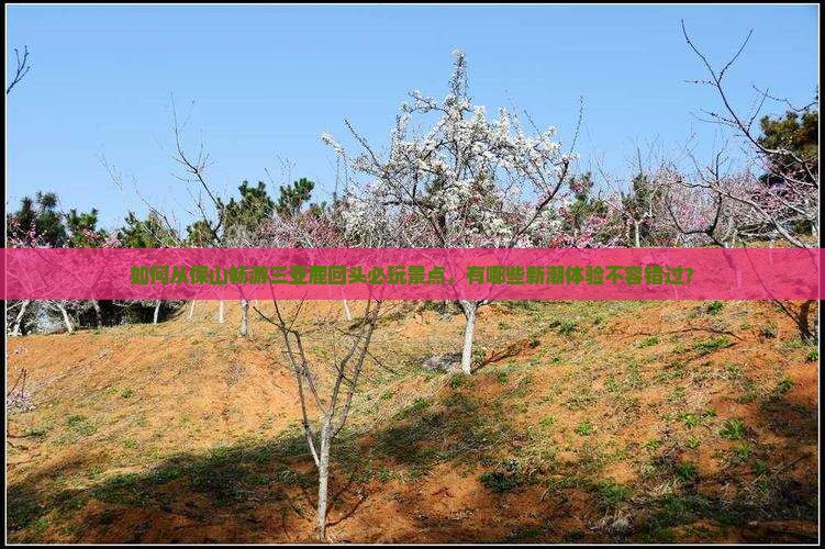 如何从保山畅游三亚鹿回头必玩景点，有哪些新潮体验不容错过？