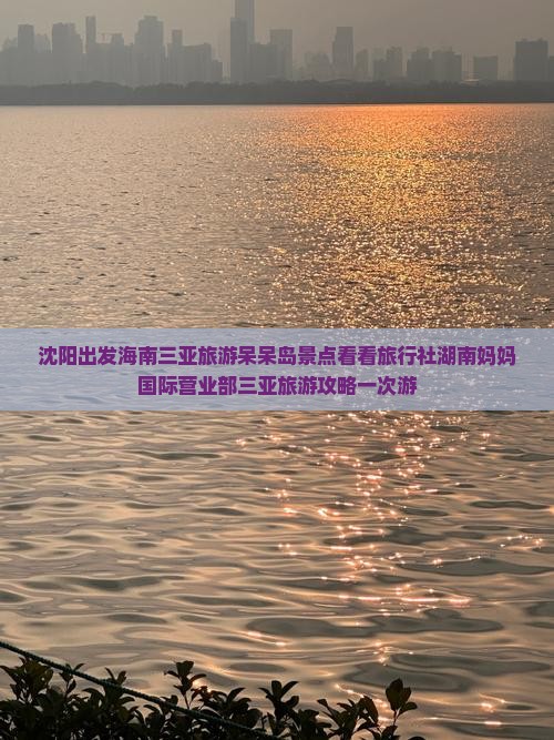 沈阳出发海南三亚旅游呆呆岛景点看看旅行社湖南妈妈国际营业部三亚旅游攻略一次游