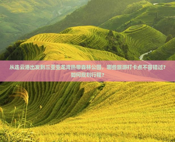 从连云港出发到三亚亚龙湾热带森林公园，哪些旅游打卡点不容错过？如何规划行程？
