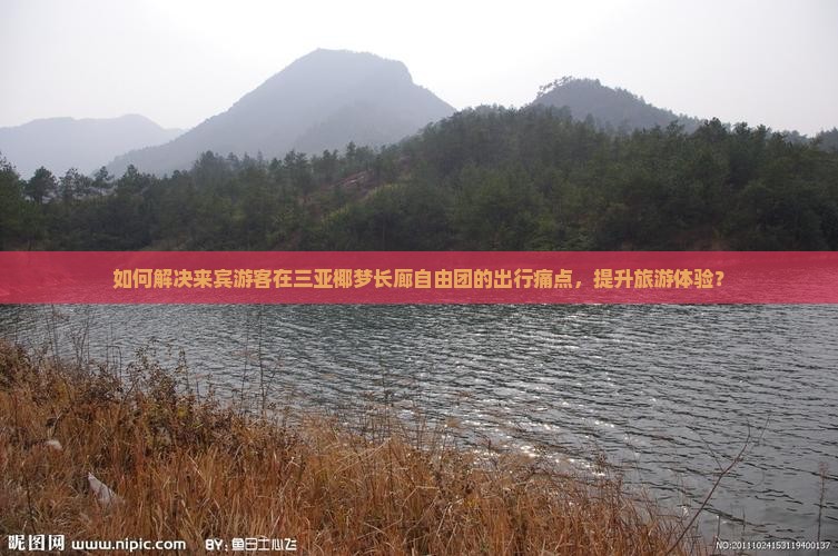 如何解决来宾游客在三亚椰梦长廊自由团的出行痛点，提升旅游体验？