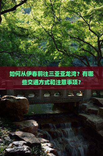 如何从伊春前往三亚亚龙湾？有哪些交通方式和注意事项？