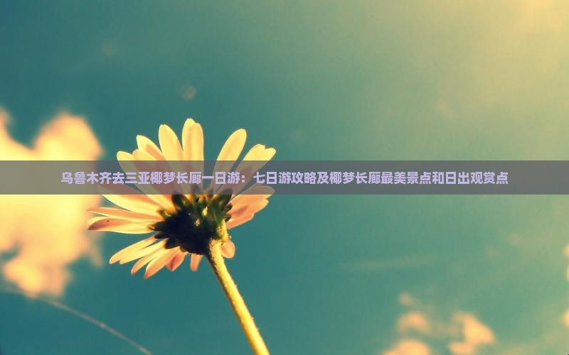 乌鲁木齐去三亚椰梦长廊一日游:七日游攻略及椰梦长廊最美景点和日出观赏点 乌鲁木齐去三亚椰梦长廊一日游:七日游攻略及椰梦长廊最美景点和日出观赏点