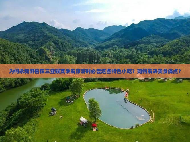 为何永新游客在三亚蜈支洲岛旅游时必尝这些特色小吃？如何解决美食痛点？