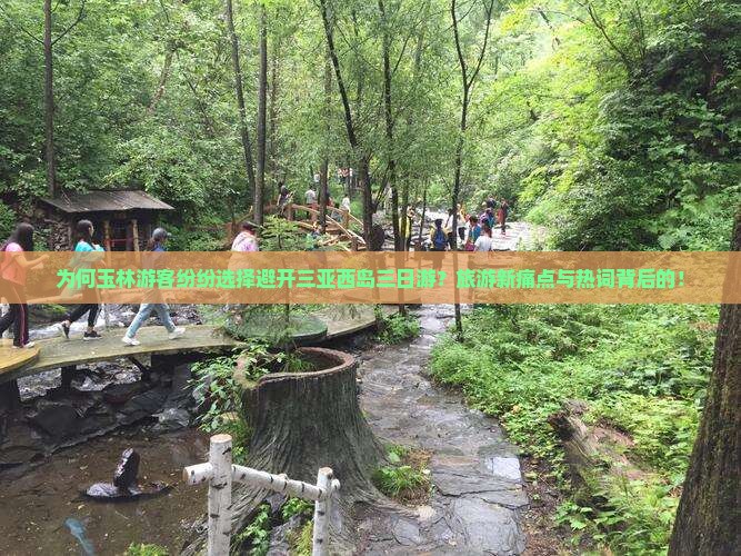 为何玉林游客纷纷选择避开三亚西岛三日游？旅游新痛点与热词背后的！