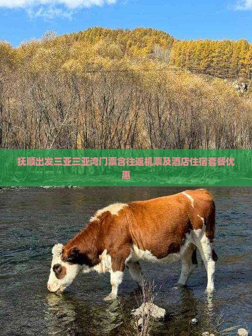 抚顺出发三亚三亚湾门票含往返机票及酒店住宿套餐优惠