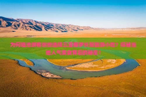 为何临沧游客纷纷选择三亚椰梦长廊旅游小吃？探秘当地人气美食背后的秘密！
