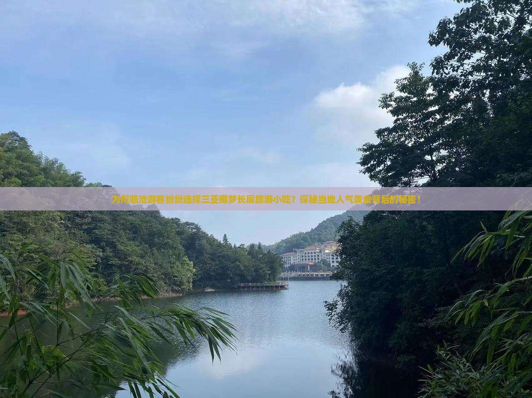 为何临沧游客纷纷选择三亚椰梦长廊旅游小吃？探秘当地人气美食背后的秘密！