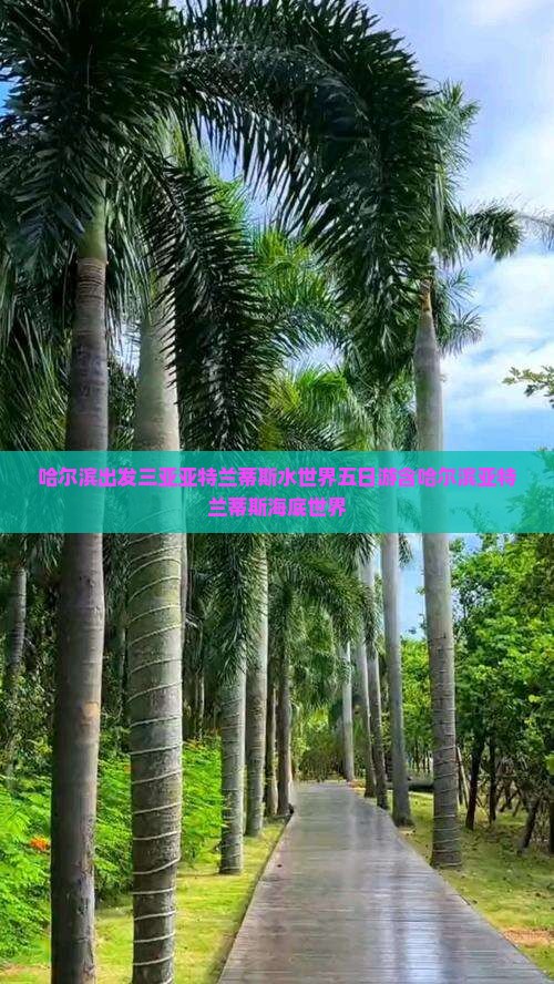 哈尔滨出发三亚亚特兰蒂斯水世界五日游含哈尔滨亚特兰蒂斯海底世界