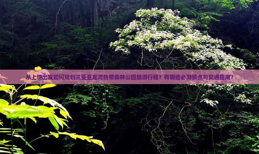 从上饶出发如何规划三亚亚龙湾热带森林公园旅游行程？有哪些必游景点与交通指南？
