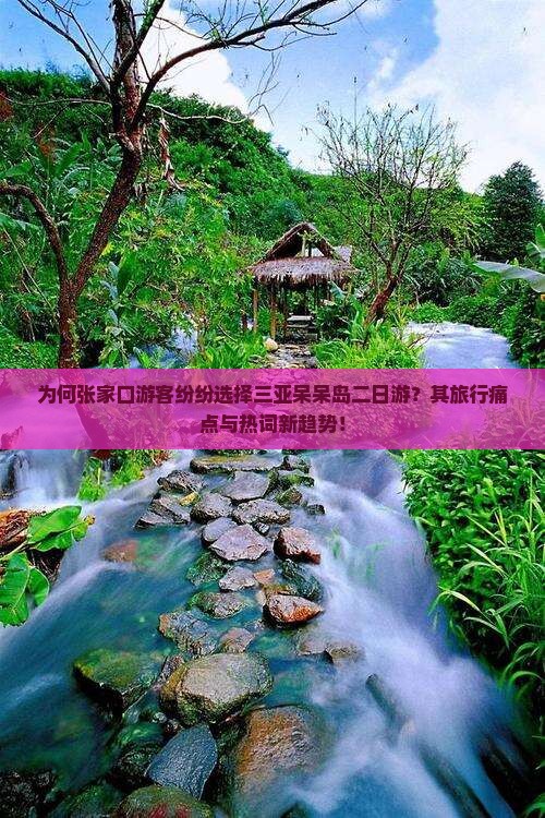 为何张家口游客纷纷选择三亚呆呆岛二日游？其旅行痛点与热词新趋势！