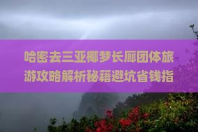 哈密去三亚椰梦长廊团体旅游
