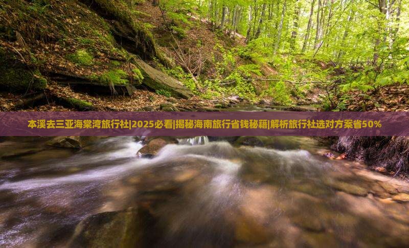 本溪去三亚海棠湾旅行社