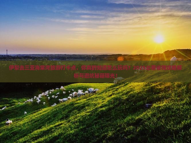 伊犁去三亚海棠湾旅游打卡点