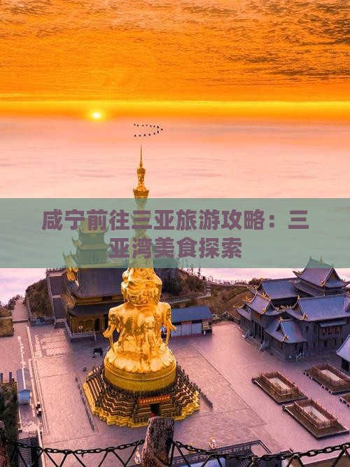 咸宁前往三亚三亚湾旅游小吃