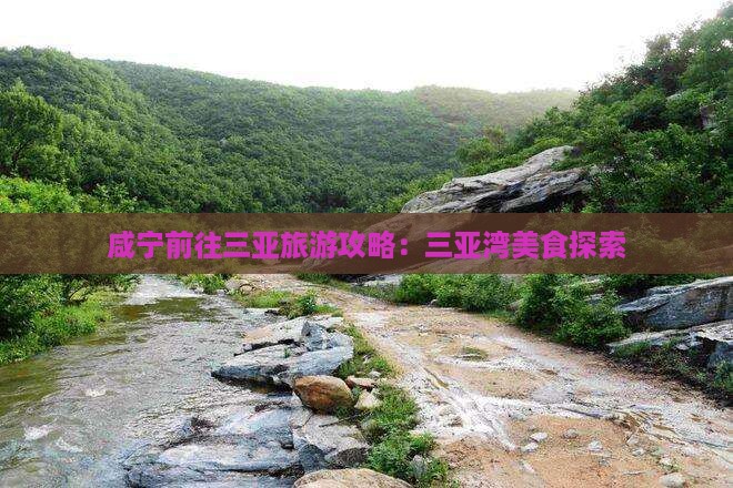 咸宁前往三亚三亚湾旅游小吃