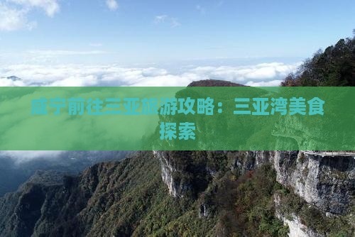 咸宁前往三亚三亚湾旅游小吃