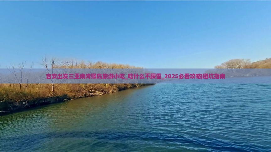 吉安出发三亚南湾猴岛旅游小吃