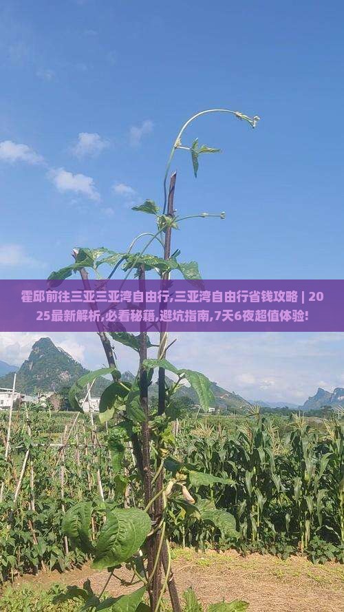 霍邱前往三亚三亚湾自由行