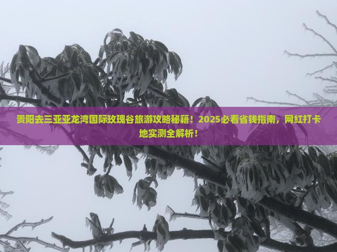 贵阳去三亚亚龙湾国际玫瑰谷旅游网红地点