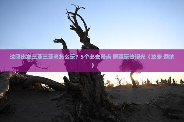 沈阳出发三亚三亚湾哪里玩