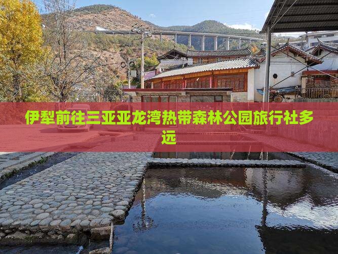 伊犁前往三亚亚龙湾热带森林公园旅行社