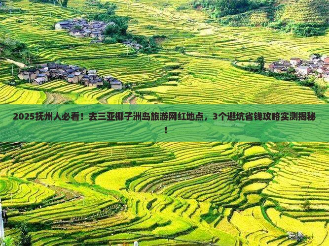 抚州去三亚椰子洲岛旅游网红地点