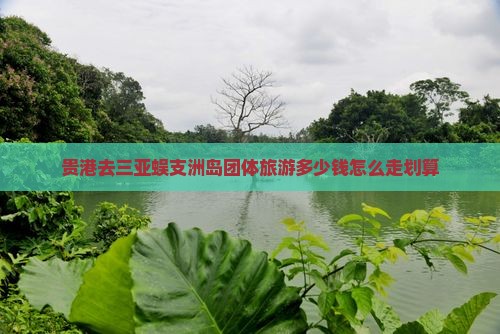 贵港去三亚蜈支洲岛团体旅游