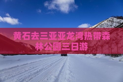 黄石去三亚亚龙湾热带森林公园三日游