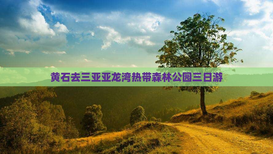 黄石去三亚亚龙湾热带森林公园三日游