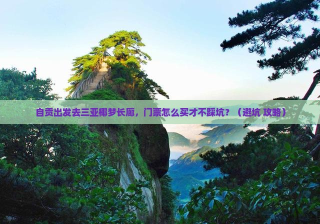 自贡出发三亚椰梦长廊门票