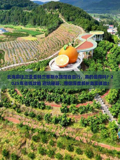 北海前往三亚亚特兰蒂斯水族馆自由行