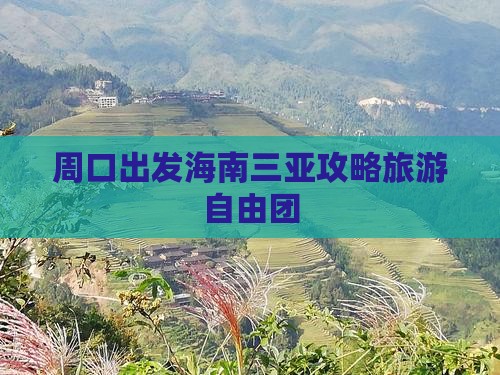 周口前往三亚后海自由团