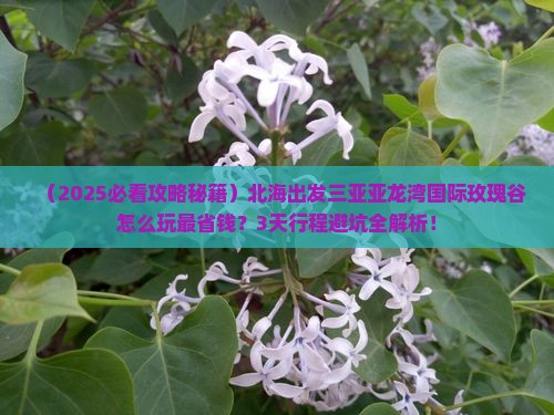 北海出发三亚亚龙湾国际玫瑰谷攻略