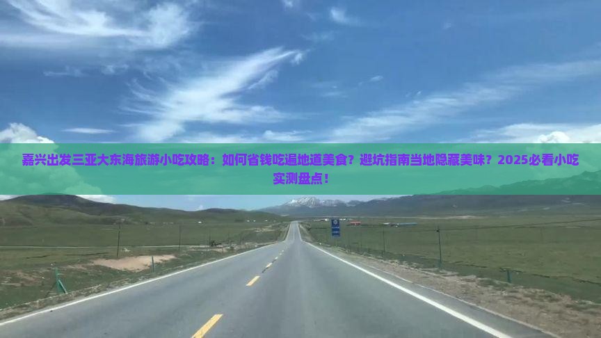 嘉兴出发三亚大东海旅游小吃